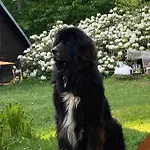 Marta 木屋 Horní Bečva