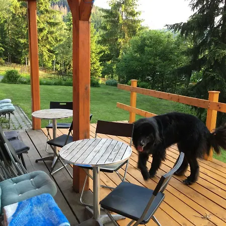 Marta Chalet *