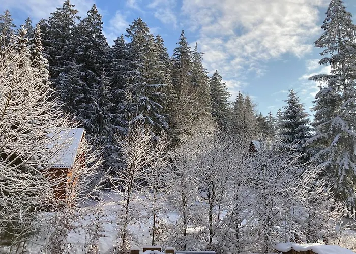 Domek alpejski Marta