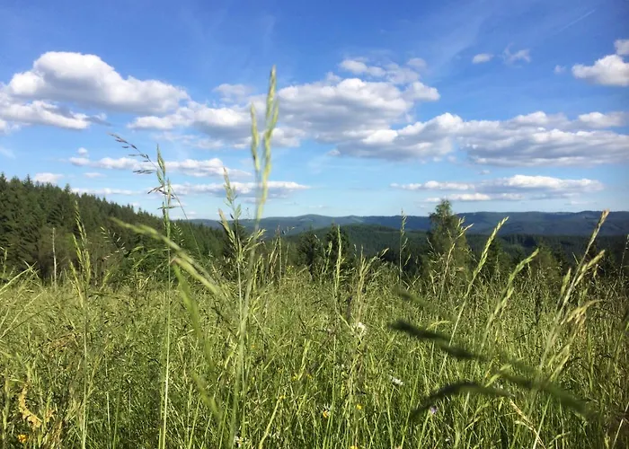 Marta * Horní Bečva