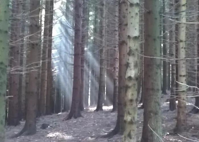 Domek alpejski Marta *