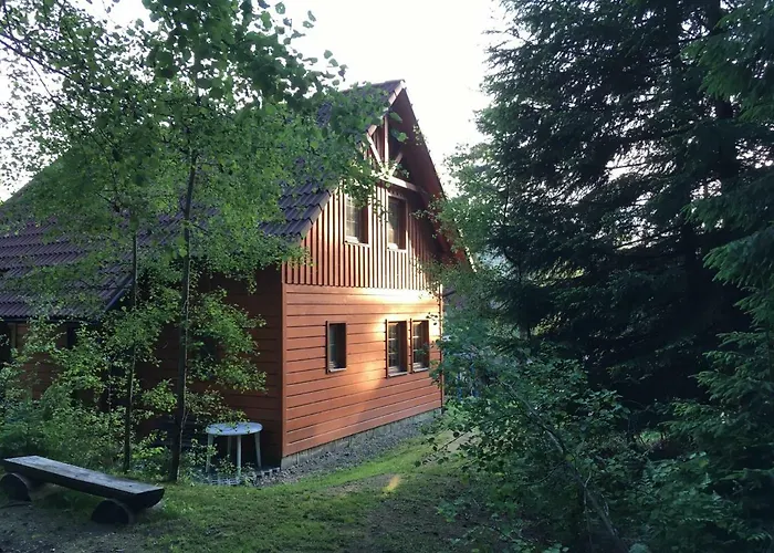 Marta Domek alpejski