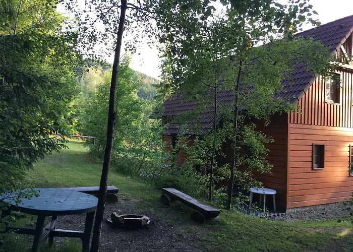 Marta Domek alpejski *
